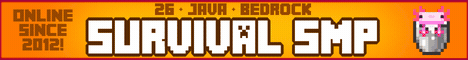 InsanityCraft Minecraft skyblock server banner - play.insanitycraft.net